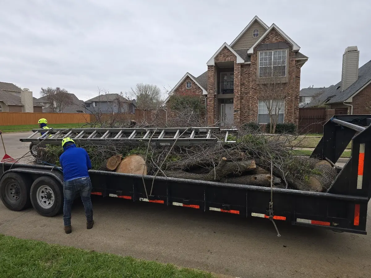 Expert Tree Pest Control with proper safety equipment in Santa Margarita